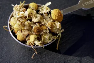 {Mușețel true} - imagine 1