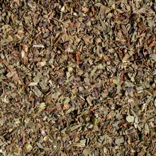 {Busuioc true} - imagine 1