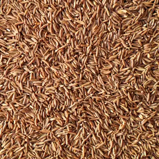 {Chimen  true} - imagine 1