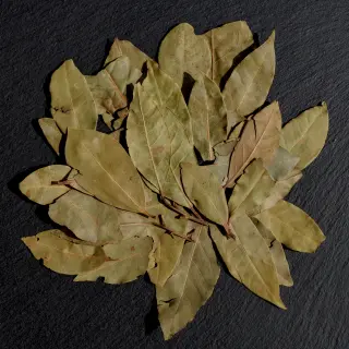 {Foi de Dafin true} - imagine 1