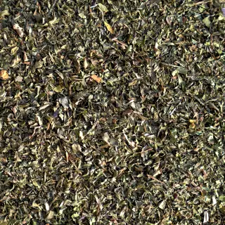 {Mentă true} - imagine 1