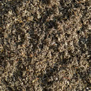 {Salvie (Uscată) true} - imagine 1