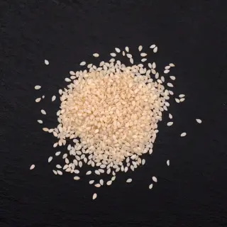 {Susan Alb true} - imagine 0